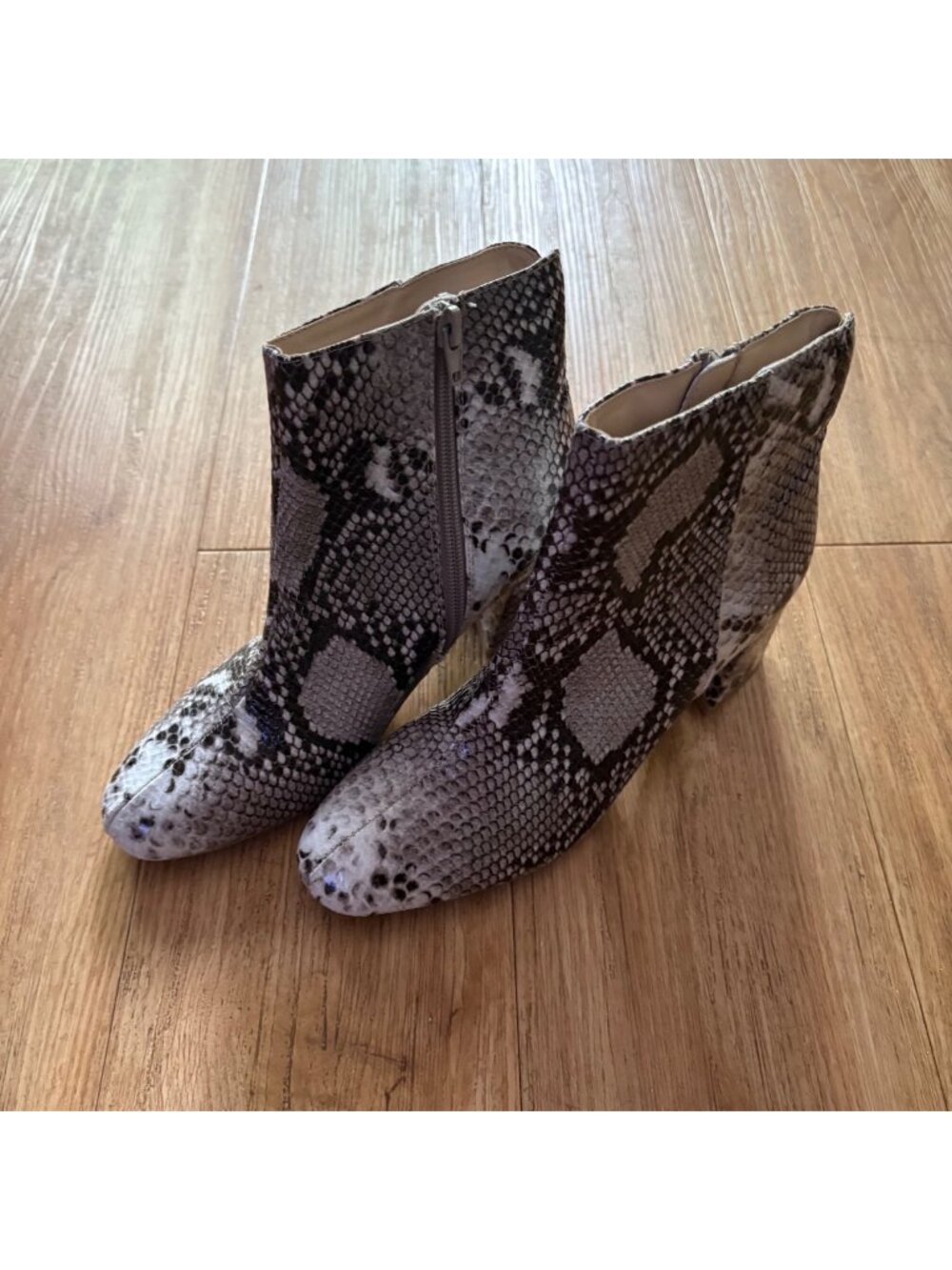 Chinese Laundry Daria Heeled Ankle Bootie Faux Snakeskin Women’s Size 6.5